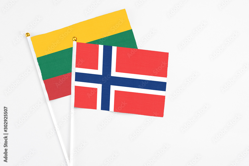 Norway and Lithuania stick flags on white background. High quality fabric, miniature national flag. Peaceful global concept.White floor for copy space. Norway and Lithuania stick flags on white background. High quality fabric, miniature national flag. Peaceful global concept.White floor for copy space.
