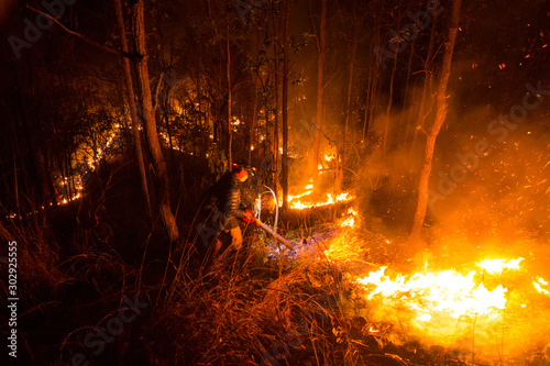 Forest fire burning trees at night.