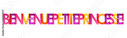 Bannière typographique BIENVENUE PETITE PRINCESSE!