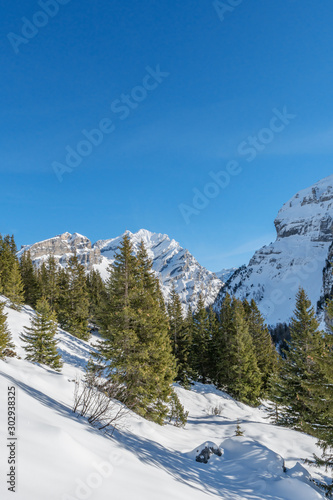 Verschneite Winterlandschaft im Berner Oberland