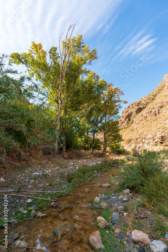 Photo of the Alcolea River as it passes through Lucainena