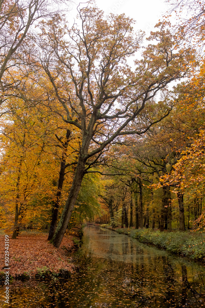 Fototapeta premium Trees in autumn colors reflected in the water of a canal