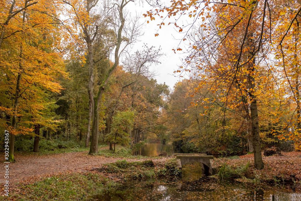 Old arched bridge over a canal in a forest in autumn colors