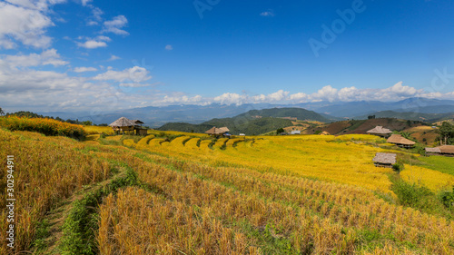 Terraced rice fields at Chiangmai Province in thailand.