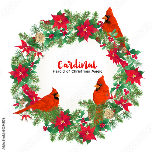 Cardinal bird and Christmas wreath of spruce, pine, poinsettia, dog rose, mistletoe, fir. Template for card, banner, gift voucher, label. Colored vector illustration..