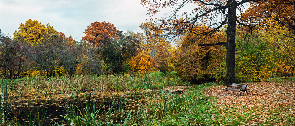 autumn Park with colorful leaves and a pond in the Park. panorama of autumn pond