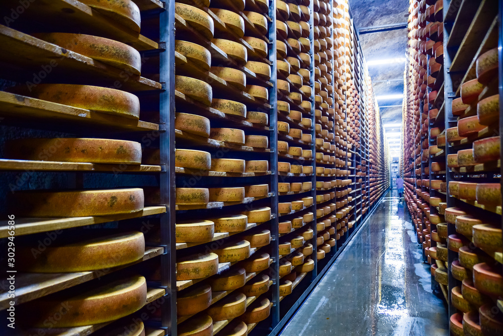 Cheese Maturation Rooms Long Rows Cheese Wheels Being Aged Stock Foto Adobe Stock 