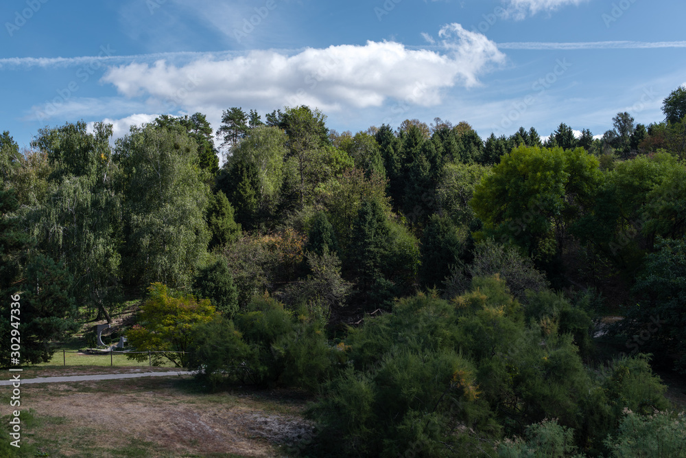 Green woods in park and blue sky with clouds at background