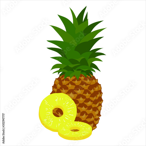 Illustration vectorielle d’un fruit entier et en rondelle : l’ananas.