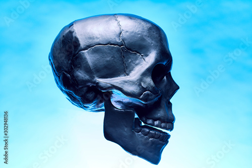 Product shot of black skull side profile.