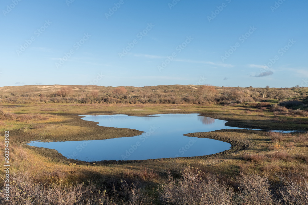 View of a dune lake with a light blue sky