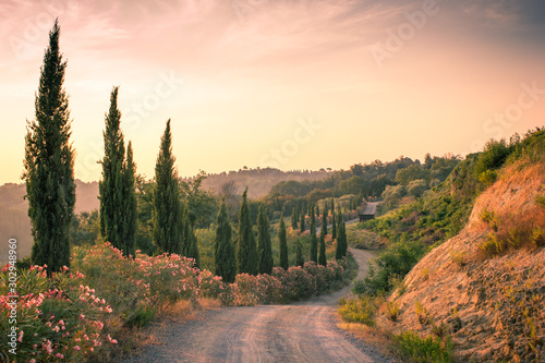 Typical tuscan curved road lined with cypresses photo