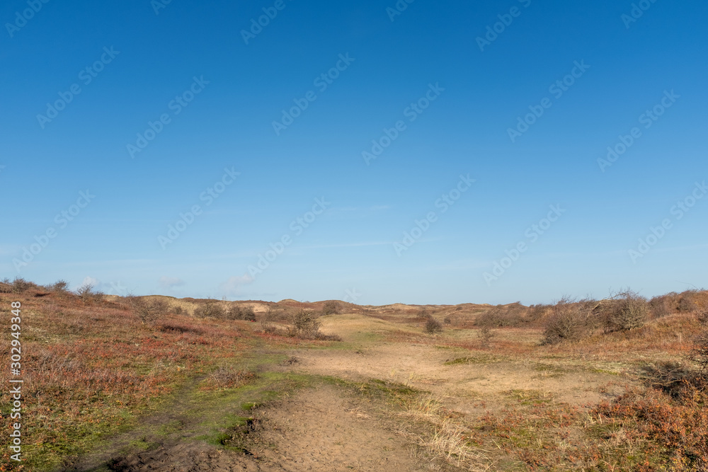 Bare light rolling landscape with small bushes and a blue sky