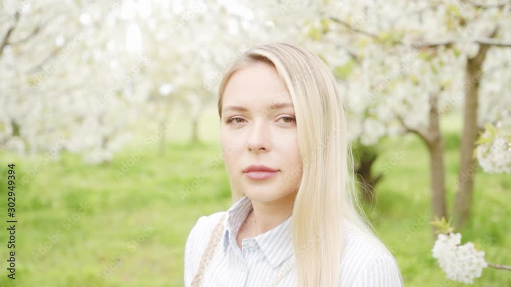 A beautiful blonde in a blue dress is standing in a blooming cherry garden. white flowers petals showered on the background. portrait concept of spring. A beautiful blonde in a blue dress is standing in a blooming cherry garden. white flowers petals showered on the background. portrait concept of spring.