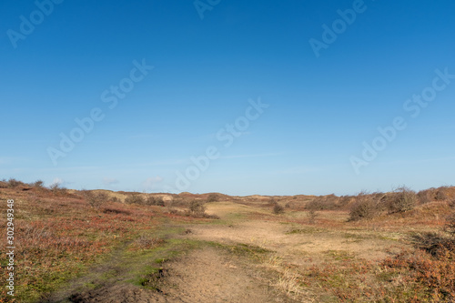Bare light rolling landscape with small bushes and a blue sky