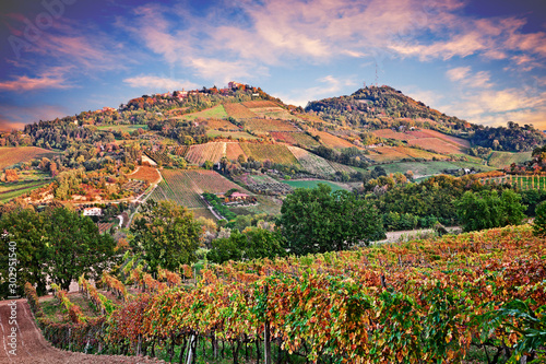 Bertinoro, FC, Emilia Romagna, Italy: landscape at dawn of the hills with vineyards photo