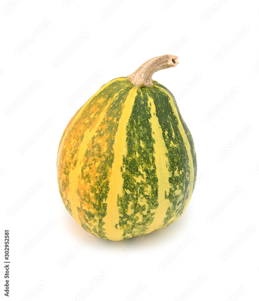 Half-ripe ornamental gourd with yellow and green stripes Half-ripe ornamental gourd with yellow and green stripes
