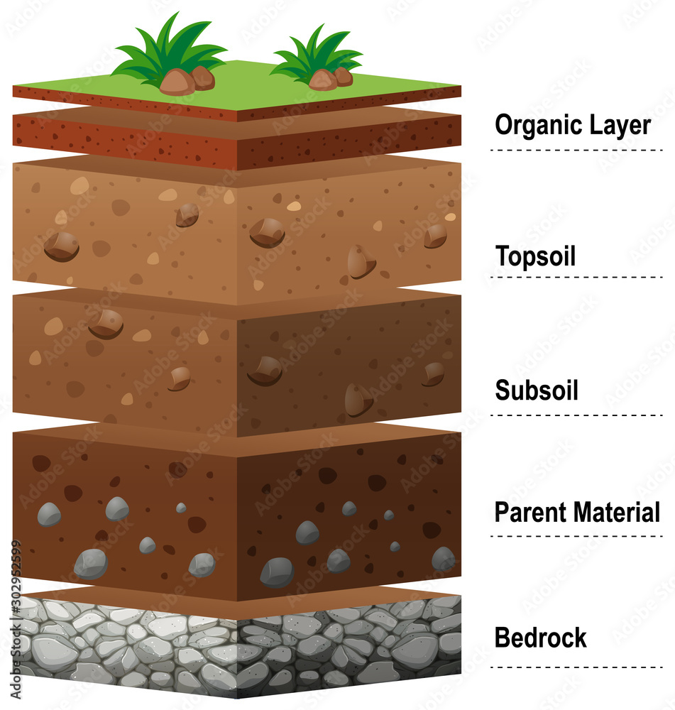 Parent Material" Images – Browse 66 Stock Photos, Vectors, and