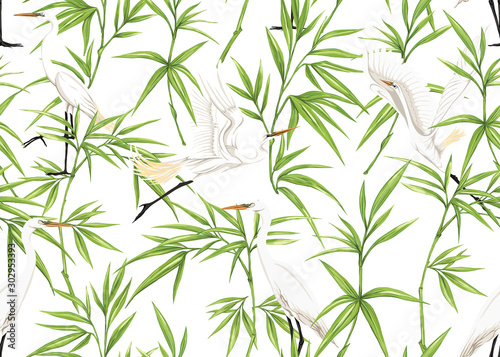 Fototapeta Naklejka Na Ścianę i Meble -  Seamless pattern, background with tropical plants, flowers and birds. Colored vector illustration. Isolated on white background.