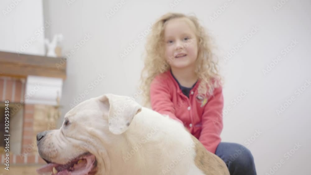 Close-up of white and brown bulldog and pretty Caucasian little girl at the background. Child resting with her animal friend indoors. Cheerful kid with dog. Close-up of white and brown bulldog and pretty Caucasian little girl at the background. Child resting with her animal friend indoors. Cheerful kid with dog.