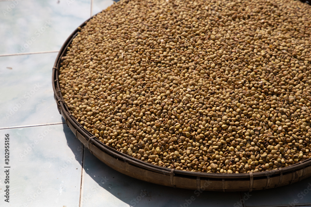 MANDALAY/MYANMAR(BURMA) - 08th Nov, 2019 : Burmese Foods Collection. MANDALAY/MYANMAR(BURMA) - 08th Nov, 2019 : Burmese Foods Collection.