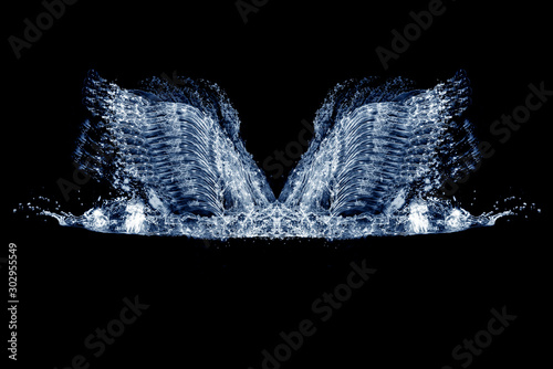 Bird/swan wings made of water are on the black background. Happy Valentine's Day
