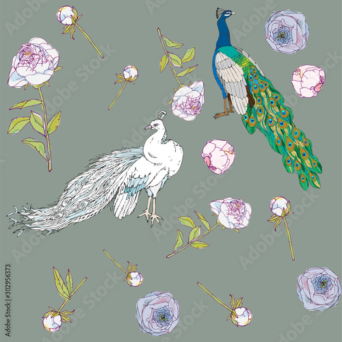 White and colorful peacocks. Leaves, stems and inflorescences of peonies vector illustration. Picture with pink, blue and white flowers and birds on army green, grey colors. Endless pattern. EPS10