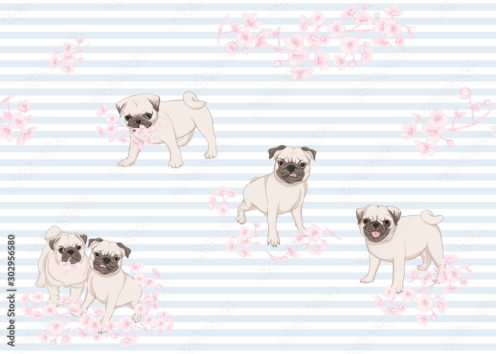 Obraz premium Seamless pattern with Pug dogs with blooming sakura spring flowers. Vector illustration. On blue and white stripes background.