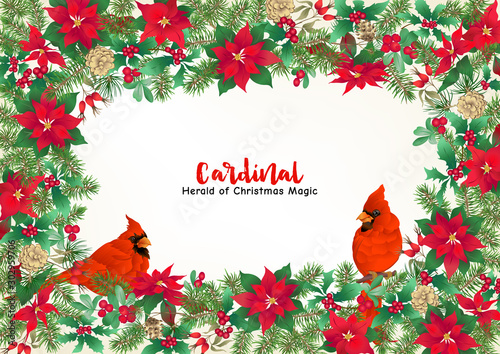 Cardinal bird and Christmas wreath of spruce, pine, poinsettia Template for card, banner, gift voucher, label. Colored vector illustration