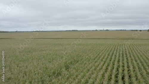 Aerial view of a corn field with cloudy sky outisde of Winnipeg, Manitoba Canada Great. 4k drone footage. photo