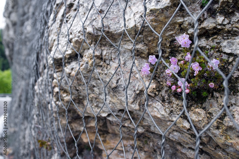 Fotografie rockfall protection nets