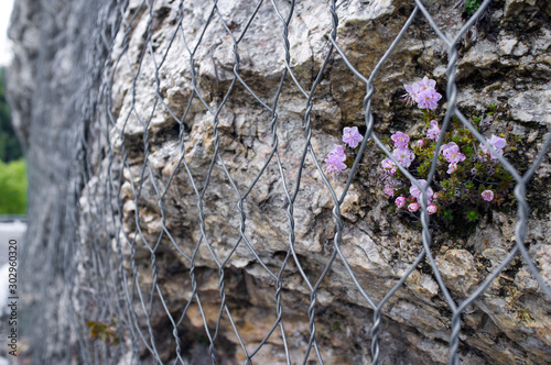 rockfall protection nets photo