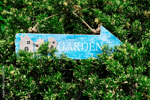 advertisement plate tablet sign countryard patio index direction pointer branches green yellow blue needles evergreen photo