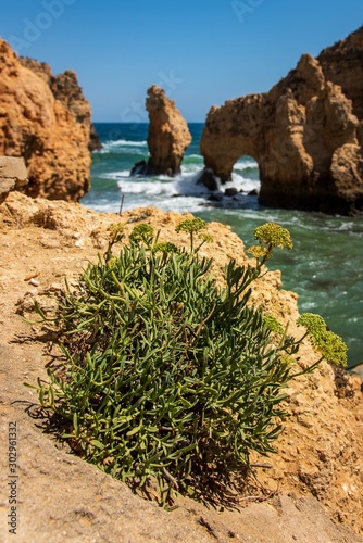 Coastal cliffs and sea stacks near Ponta da Piedate, Lagos, Portugal. photo