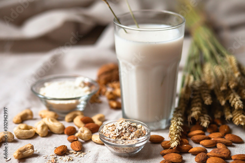 Fresh vegan alternative milk in big glass. Closeup, white background. Healthy vegetarian food concept. Almond, cachou, walnut, oatmeal, coconut to illustrate raw ingredients. Copy space for text