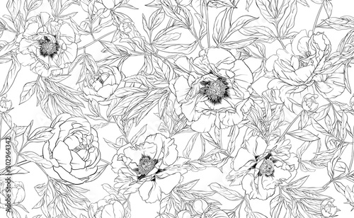 Peony flowers. Seamless pattern  background. Outline hand drawing vector illustration. In botanical style Isolated on white background..