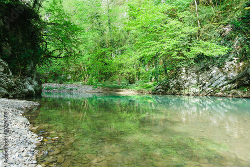 the Bright greenery of the coastal forest is reflected in the clear water of the mountain river Khosta