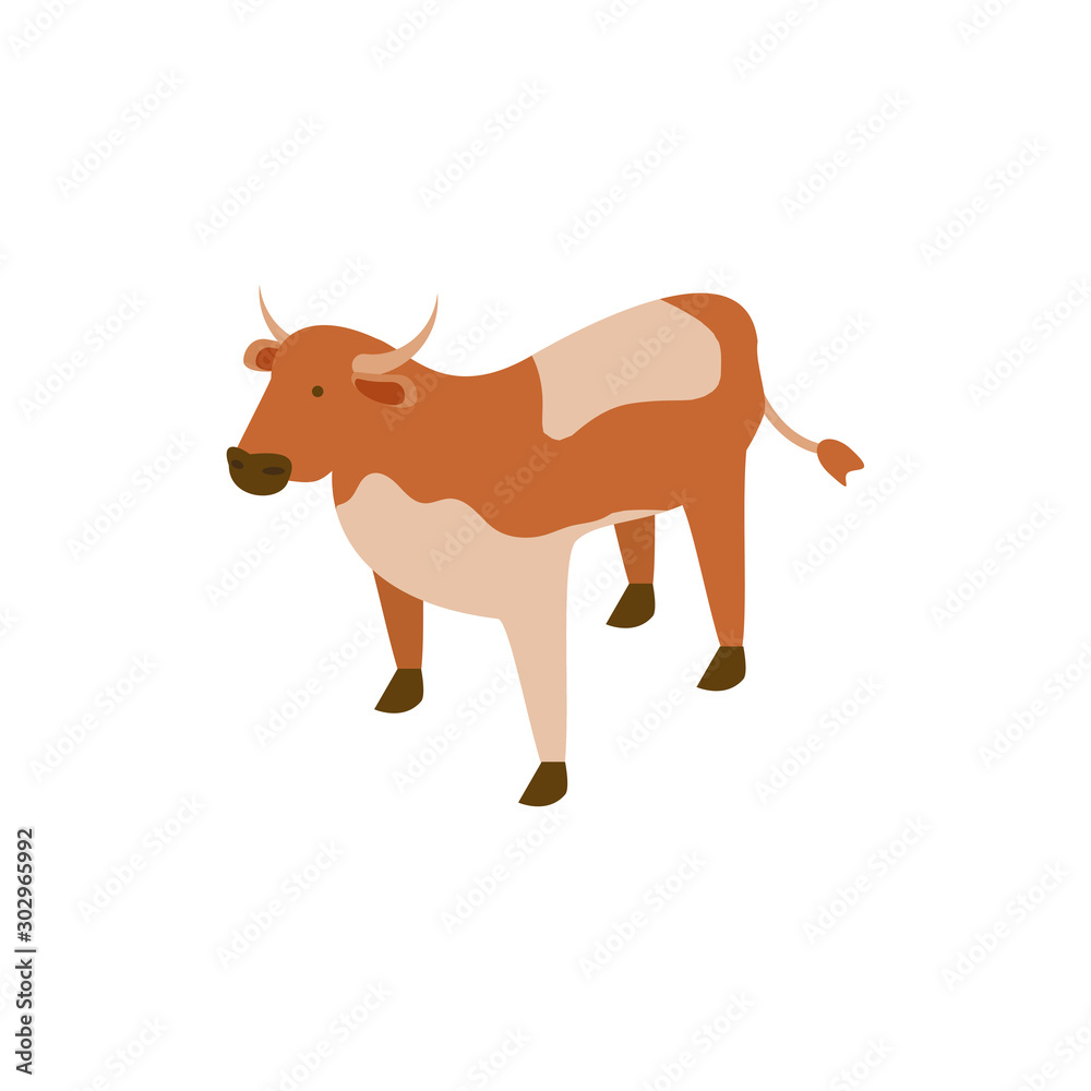 cute cow animal on white background