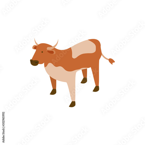 cute cow animal on white background