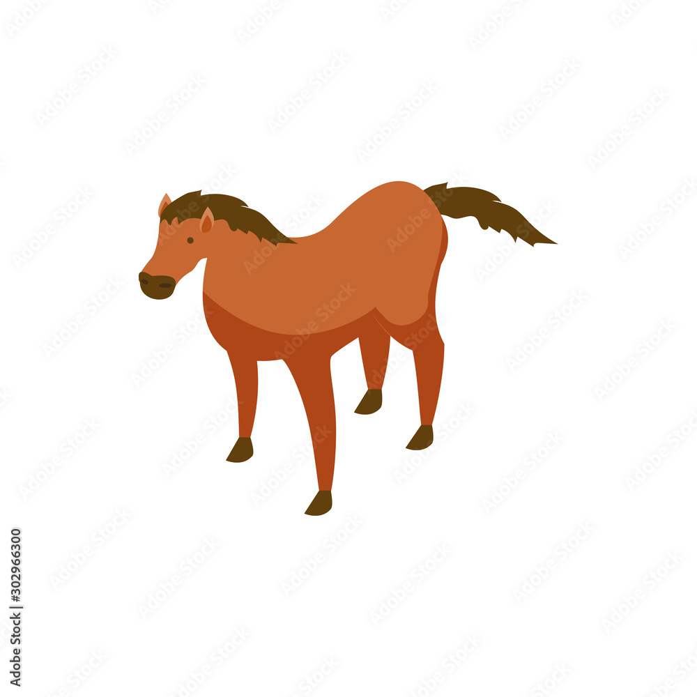 Horse standing on white background Horse standing on white background