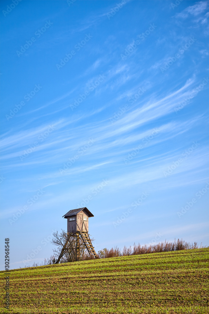 Farmland with elevated wooden hunting blind in warm morning sunlight.