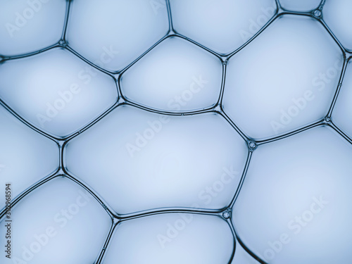 Fototapeta Naklejka Na Ścianę i Meble -  Macro close up of soap bubbles look like scientific image of cell and cell membrane