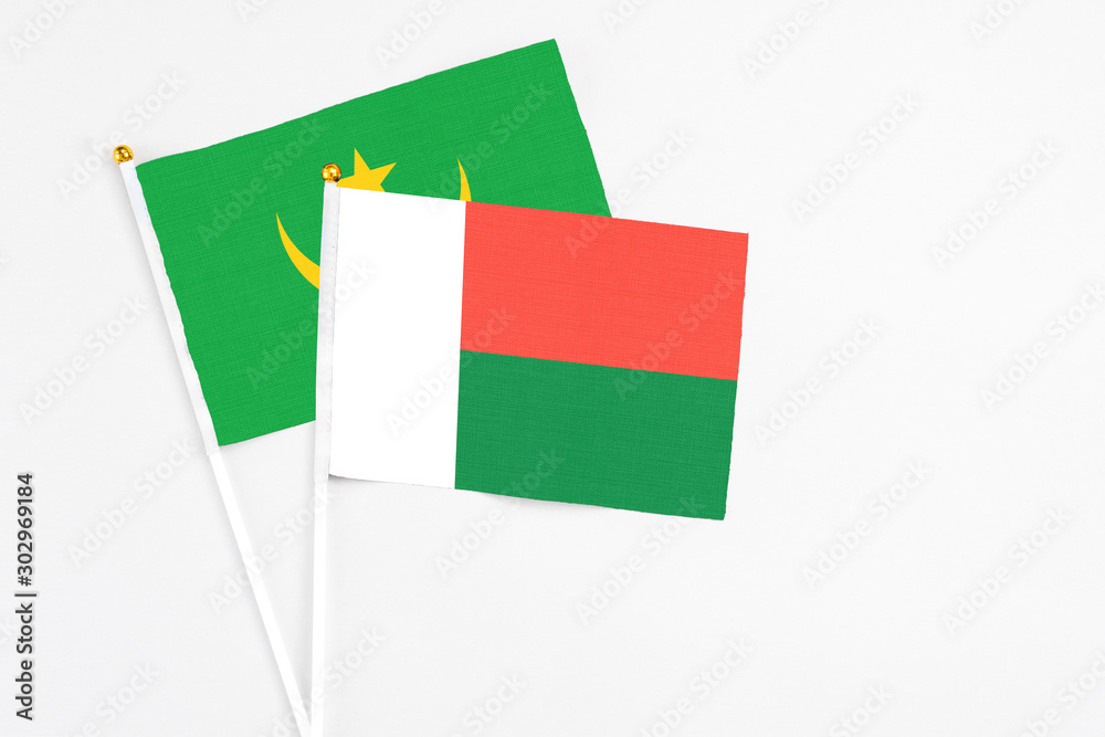 Madagascar and Mauritania stick flags on white background. High quality fabric, miniature national flag. Peaceful global concept.White floor for copy space. Madagascar and Mauritania stick flags on white background. High quality fabric, miniature national flag. Peaceful global concept.White floor for copy space.