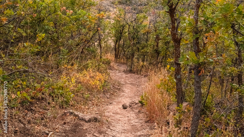 Panorama Hiking trail through the wilderness in Utah, USA