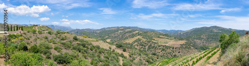 The wide panorama of Priorat, Catalonia, Spain