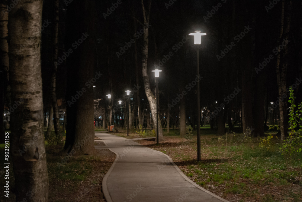 Obraz premium Park