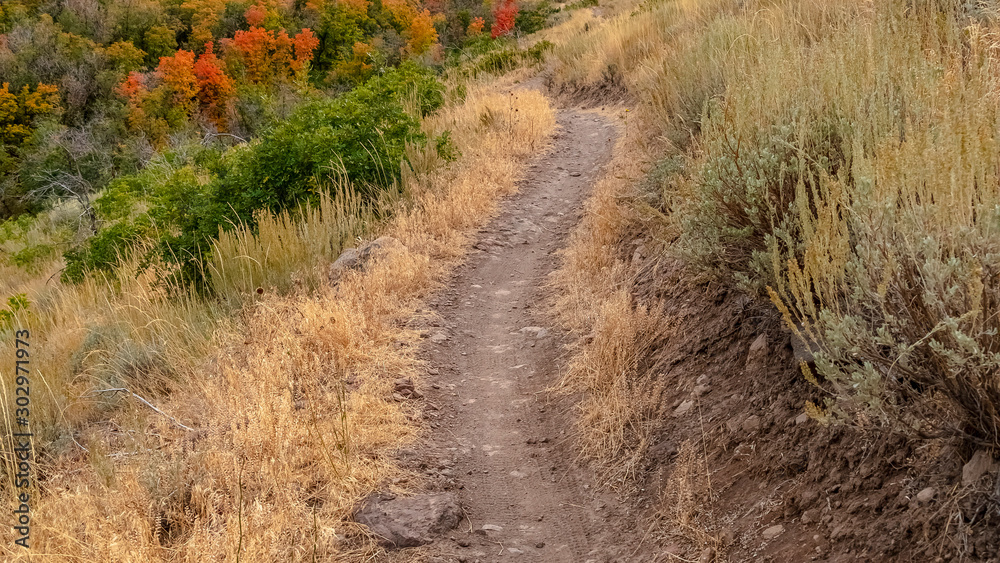 Fototapeta premium Panorama Scenic view of a mountain hiking trail in Utah
