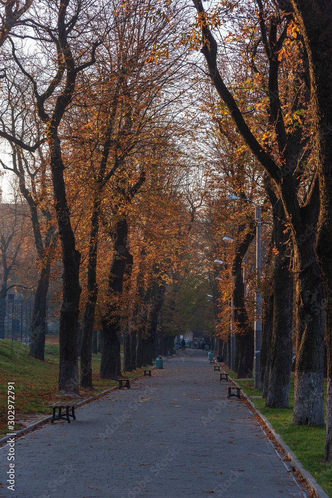 Morning view of the beautiful city of Lviv, with the town hall, ancient fire department and churches in autumn