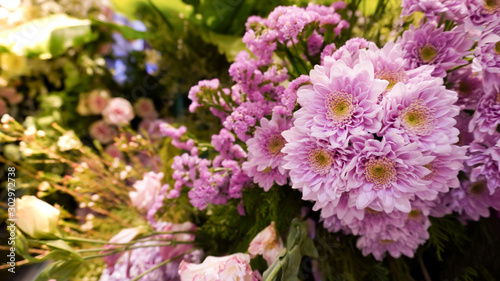 pink flower and Multi Color flower background 