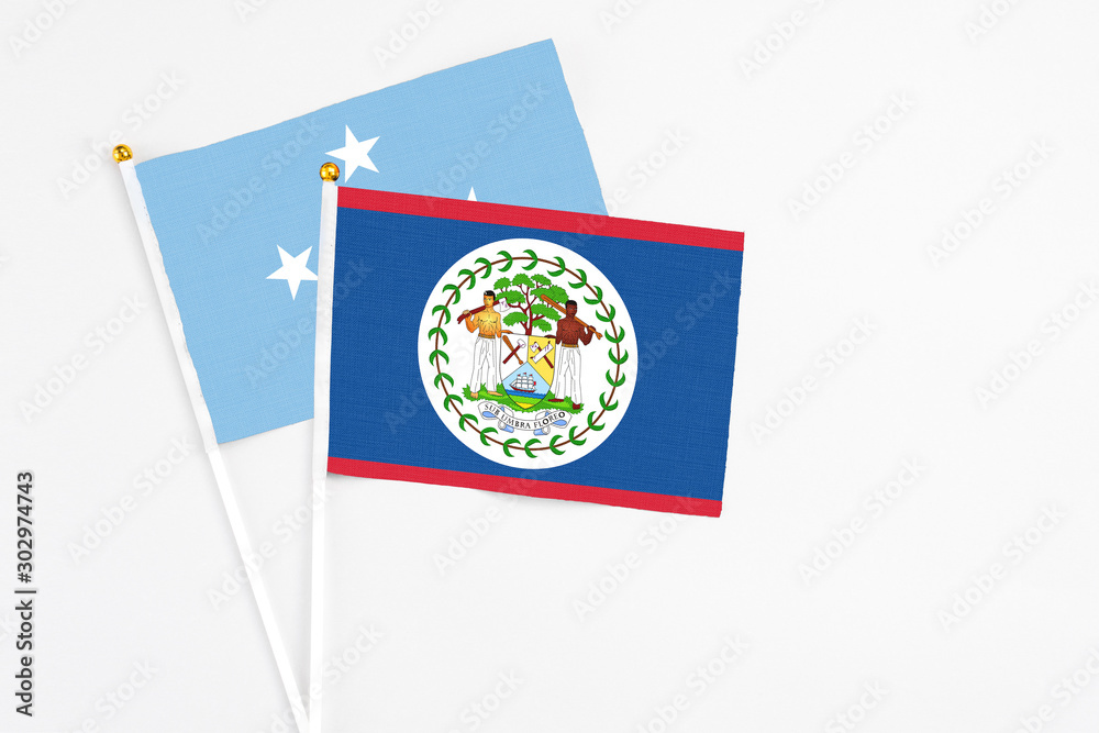 Belize and Micronesia stick flags on white background. High quality fabric, miniature national flag. Peaceful global concept.White floor for copy space. Belize and Micronesia stick flags on white background. High quality fabric, miniature national flag. Peaceful global concept.White floor for copy space.